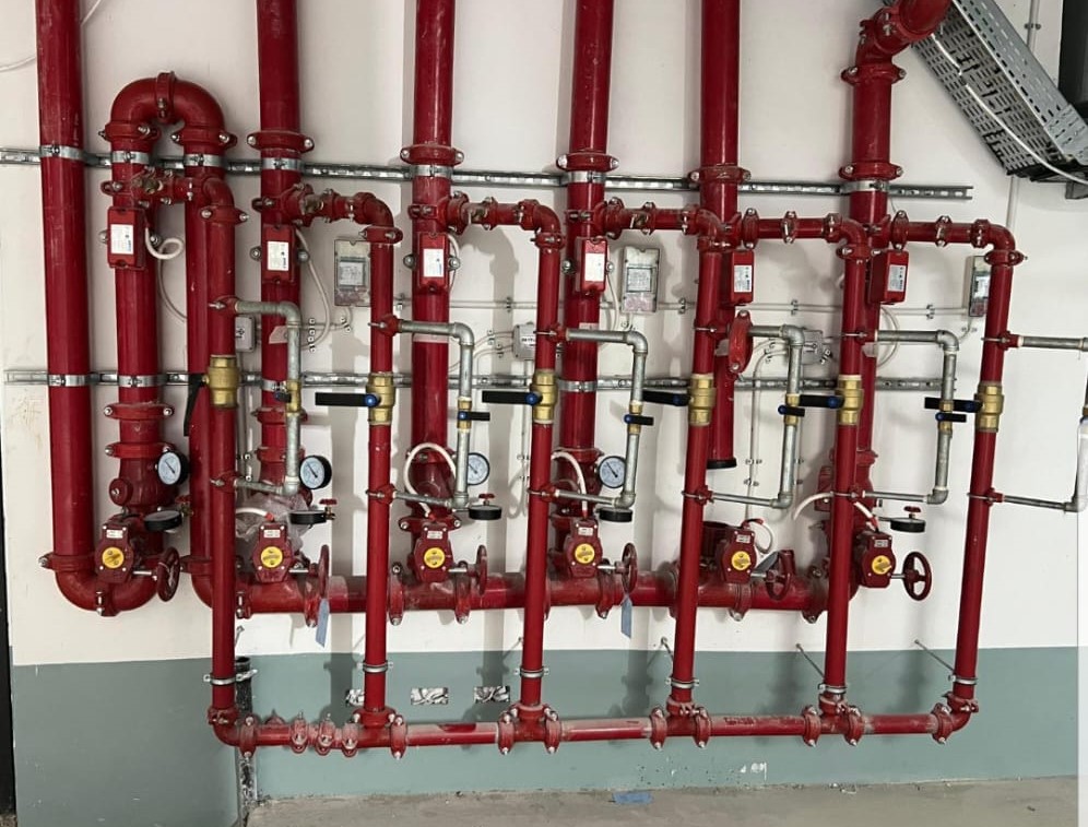 פרוייקטים מגוונים